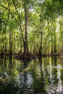 Lagoon, Klong Rud, Klong Nam Sai, Ao Nang, Krabi, Thailand