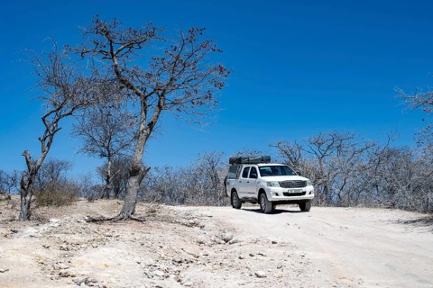 Off-road vehicle between dry bushes on a sandy track, Makgadikgadi salt pans, Botswana