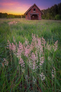 View of grasses and an open half-timbered barn standing on a pasture in the sunset, meadow, spring,