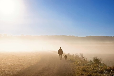 Woman walking the dog on a dirt road in the morning fog in a rural landscape in autumn