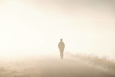 Alone woman in backlight walking on a dirt road in morning fog in a rural landscape in autumn