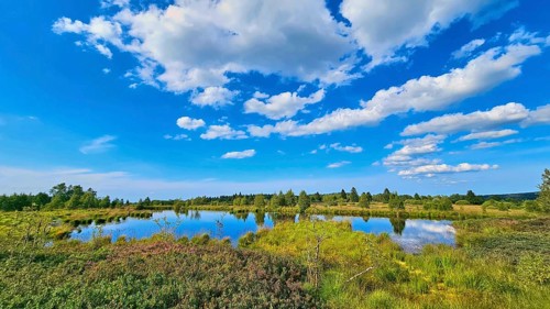 A moor pond reflects the blue sky with white clouds, surrounded by green landscape, summer, High