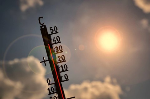 Symbolic image heat, heat wave, thermometer in the sun, 40 degrees Celsius, climate change,