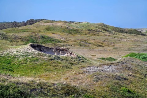 View from Bertusnol over dunes at De Nederlanden, part of nature reserve De Muy in the Nationaal