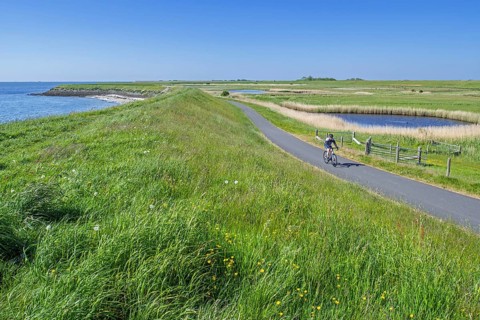 Cyclist and pond in brackish polder at nature reserve Zandkes from Natuurmonumenten near