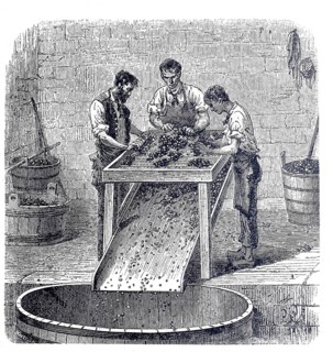Winemaking, worker at a grape rasp, around 1880, digitally improved reproduction of a 19th century
