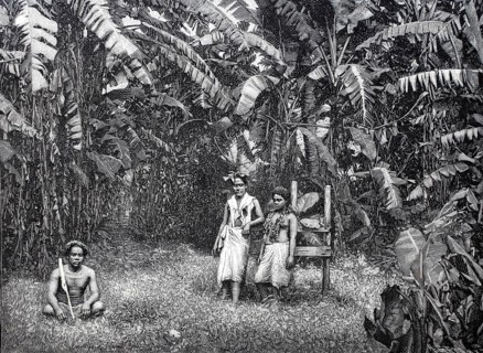 Plantation, labourer on Samoa, c. 1880, digitally enhanced reproduction of a 19th century model,