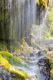 Dietfurt Waterfall, a moss waterfall in the Wutach Gorge, Black Forest, Baden-Württemberg, Germany