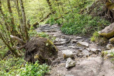 Hiking trail in the Wutach Gorge, Black Forest, Baden-Württemberg, Germany