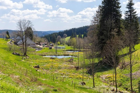 Upper reaches of the Breg, which becomes the Danube, shortly after the source, Furtwangen in the