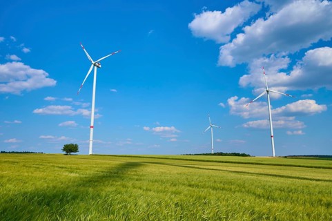 Three wind turbines stand in a large open barley field under a clear sky, summer, Retzstadt, Main