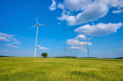 Wind turbines standing in an open grain field under a clear blue sky with white clouds, summer,