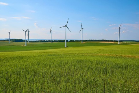 Green grain fields with wind turbines under a blue sky, representation of sustainable energy,