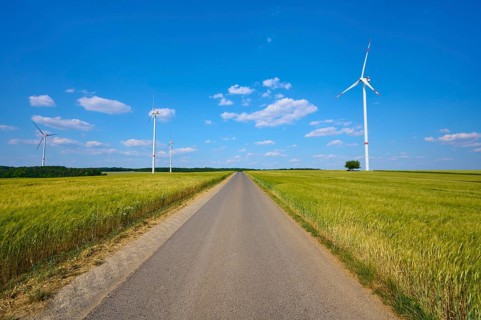 A long road leads through a corn field with wind turbines and a blue, cloudy sky, summer,