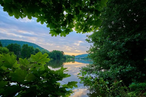 View of a calm river framed by foliage with reflecting clouds, sunrise, summer, Grünenwört,