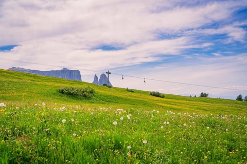 Wide meadow with cross and cable car in the background under a blue sky, Alpe di Siusi, Dolomites,