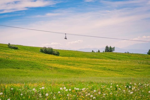 Green meadow with flowers and cable car in front of a wide sky, Alpe di Siusi, Dolomites, South