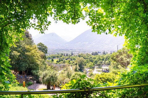 A panoramic view over a valley with trees and mountains in the background, Botanical Gardens, The