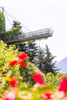 A modern viewing platform towers over colourful flowers and overlooks the mountains, Botanical
