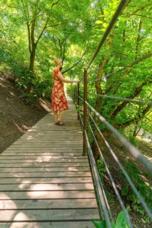 A woman on a wooden footbridge in the forest, surrounded by green trees, Botanical Garden, The