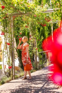 A woman in a red dress smells red roses in a green garden, Botanical Garden, The Gardens of