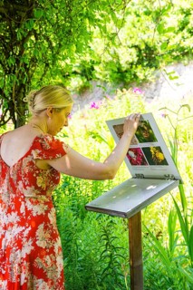 A woman looks at an information board in the middle of a green and flowery landscape, Botanical