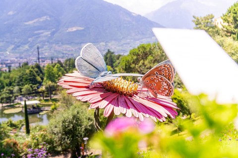 Two large plastic butterflies on a flower with a view of the mountains, Botanical Gardens, The
