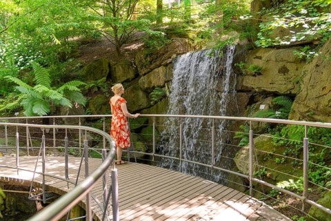 A woman stands on a bridge and looks at a waterfall in the forest, Botanical Garden, The Gardens of