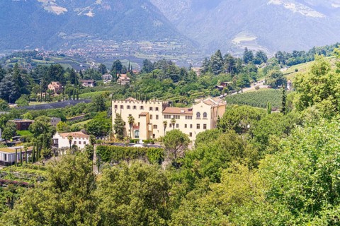 Castle surrounded by green nature and mountain landscape with small village nearby, botanical
