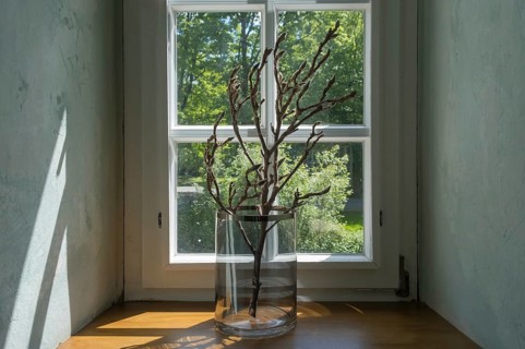 A single branch in a glass vase stands on a wooden windowsill in front of a window through which