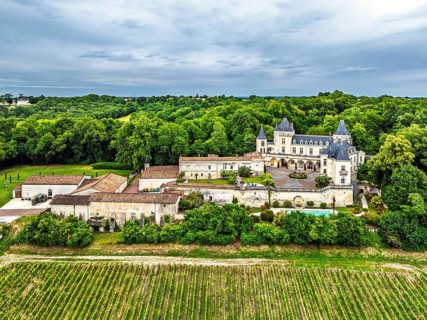Castle of La Riviere, Vineyard Chateau de La Riviere from a drone, Bordeaux, France