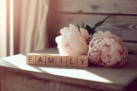 Wooden blocks spelling family beside peony flowers. Generative ai, AI generated