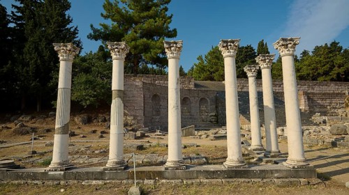 Row of ancient columns in front of a stone building and green forest, Temple of Apollo, Corinthian