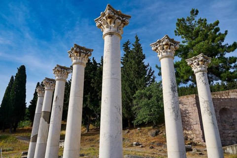 View of ancient columns with blossoming trees and blue sky in the background, Temple of Apollo,