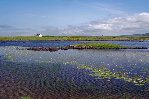 Landscape with water, water lilies and islands under blue sky with clouds, vastness, South Uist,