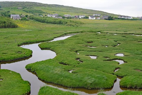 Green marshland with waterways and hills, behind a village under overcast skies, tidal landscape,