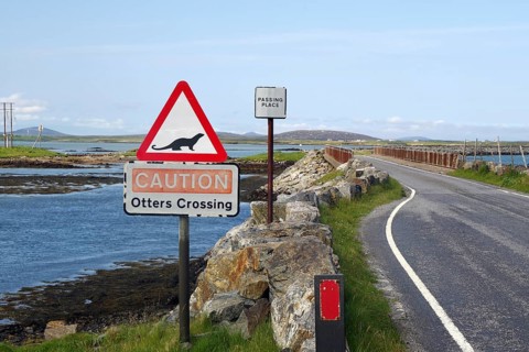 Road scene with otter crossing warning sign, coast and bridge in rural setting, causeway,