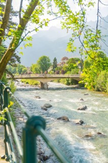 Scenic view of a river with bridge and trees in the background, Merano, Italy