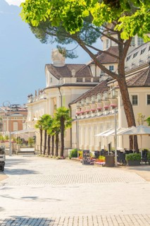 Picturesque street lined with palm trees and inviting café, classic buildings in the background,