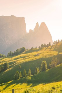 Lonely mountain peaks of the Schlehrn with green meadows and trees in the soft sunlight, Alpe di