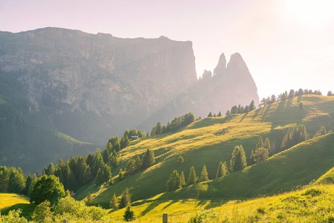 Sunlit hills and trees against an imposing mountain backdrop under a clear sky, Alpe di Siusi,