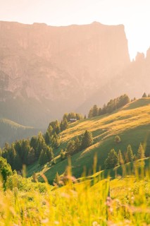 A sunlit mountain slope with green hills and trees in summer, Alpe di Siusi, Dolomites, South