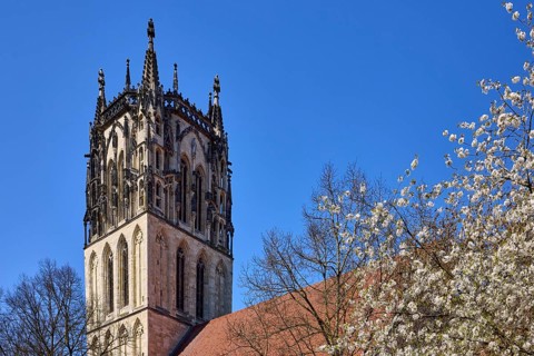 Überwasserkirche, Church of Our Lady, church tower, Gothic architectural style, blossoming tree,