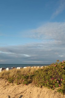 Coastal landscape, dunes, marram grass, potato rose (Rosa rugosa), beach chairs, Baltic Sea, Baltic