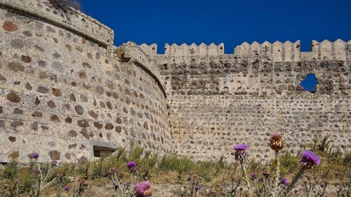 Majestic stone walls with purple thistles, clear sky in the background, Antimacheia, Medieval