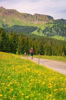 Hikers walking on a path next to flowering meadows with mountain views, Alpe di Siusi, South Tyrol,