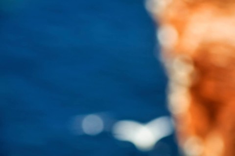 Seagull on cliff, bokehballs, motion blur, bird cliff, text free space, background image, Helgoland