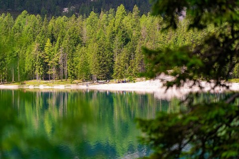 A peaceful lake with surrounding forest and reflections in the water, Pragser Wildsee, South Tyrol,
