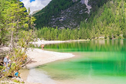 Peaceful landscape with lake and beach, surrounded by forest and mountains, Pragser Wildsee, South