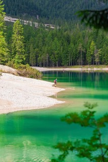 Single person on the lake shore, green water and surrounding forest, Pragser Wildsee, South Tyrol,